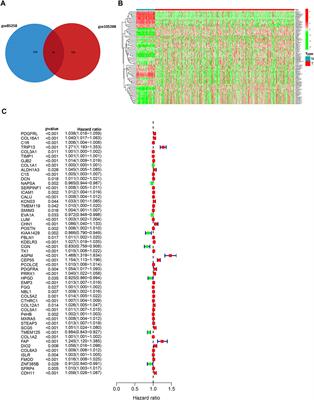 Identification of KIF23 as a Prognostic Biomarker Associated With Progression of Clear Cell Renal Cell Carcinoma